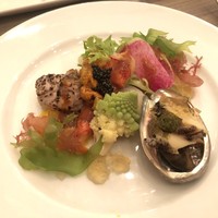 ダルマット 六本木ヒルズ店 - 