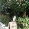 MOLE