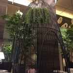 カフェ＆ダイニング ゼルコヴァ - 