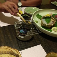 会員制 寿司割烹鷹勝 博多総本店 -  会員制 寿司割烹鷹勝 博多総本店 -