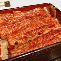 うなぎ 目白ぞろ芽 - 