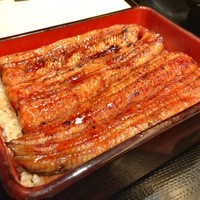 うなぎ 目白ぞろ芽 - 