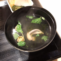 うなぎ 目白ぞろ芽 - 