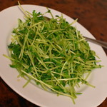 中華美食府 - 豆苗炒め（５８０円）２０１９年２月