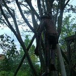 パティシエ エス コヤマ - オブジェ