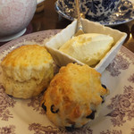 タイニー トリア アフタヌーンティー＆カフェ - プレーンスコーンとオレンジピール＆チョコチップスコーン