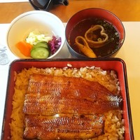 鰻割烹 伊豆栄 本店 -  鰻割烹 伊豆栄 本店 -