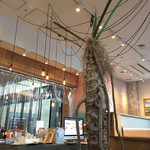 ソルティ サニー ボンダイ カフェ - 