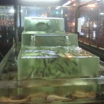 活魚割烹 赤坂 - 