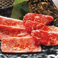 和牛焼肉 土古里 上野バンブーガーデン店 - 