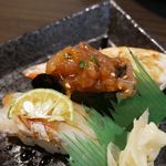 SAMURAI - 握り寿司