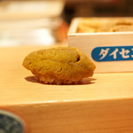 鮨 尚充 - ダイセンのうに