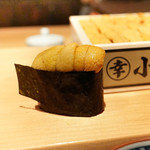 鮨 尚充 - 小西のうに