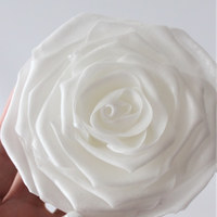 カンテサンス - 