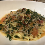 カレーうどん専門　サンビーノ - なぜ？うどん屋で？しらすのトマトパスタ