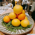 SUGALABO - げんこう