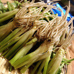 博多ちかっぱ食堂 どげん - 