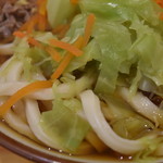 白須うどん - 麺のアップ