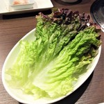 炭火焼肉ふじた - サンチュ。