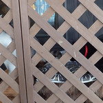 菜菜cafe - ねこさんたちは来客時は外のケージにいたミャ。寒いとこにごめんミャ