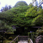 宝泉院 - 樹齢樹齢700年の「五葉の松」が見えます。お部屋から見るほうがいいですね。　
