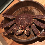 かにじぇんぬ 北新地 - 