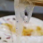 寿司栄 - 2019/2/9  アナゴの稚魚リフトアップ♪♪♪