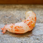 寿司栄 - 2019/2/9  能登産 シマエビ