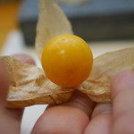 寿司栄 - 2019/2/9  露地物ホウヅキ