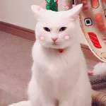 厚木本丸亭 - 関係ないけど らっちゃん