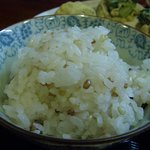 四季旬菜 みづほ - 青米などが入った雑穀米