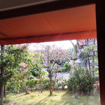 ヴィオレット・ステラ - 中庭