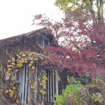 たべるとくらしの研究所 - 