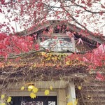 たべるとくらしの研究所 - 