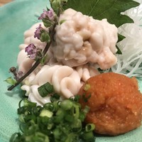 別邸 きときと - 