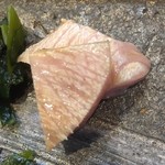 寿司栄 - メジマグロの軽い炙り