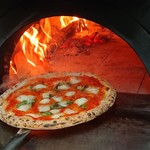 PIZZERIA ROSA
