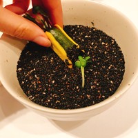 モナリザ 恵比寿店 - 