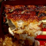 うなぎ 魚政 - 坂東太郎　鰻重