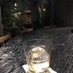 茶房 三 - 庭を眺めながら飲むのもオツなものです。