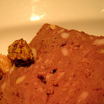 リッチ - エゾ鹿とフォアグラのテリーヌ、いちじくのピウル