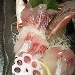 和がや - メバルの刺し身