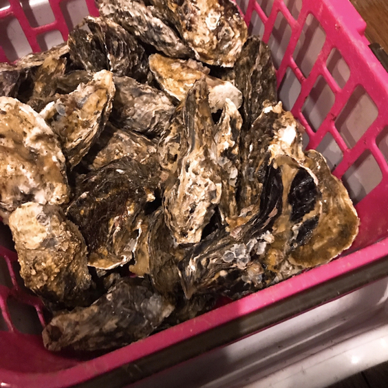 海鮮かき焼かくれ家 琴電志度 割烹 小料理 食べログ