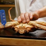 赤坂 詠月 - じたばた