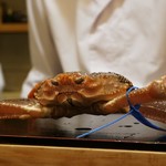 赤坂 詠月 - 観念