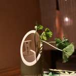 月のうさぎ - 2019年2月再訪：山葵☆