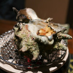 月のうさぎ - 2019年2月再訪：栄螺☆