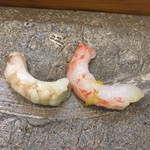 寿司栄 - 海老二種、左はガス海老、右はシマ海老