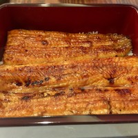 入谷鬼子母神門前のだや - 幻の共水うなぎ　静岡産 きょうすう重 中 7,340円（税込）