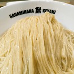 Sagamihara 欅 - 粒粒のフスマが見えますか？麺は並盛で200g、大盛(＋１００円)は300gとのこと。